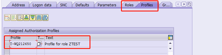 PFCG Profiles