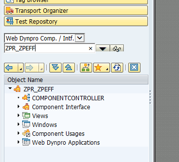 Web Dynpro Create