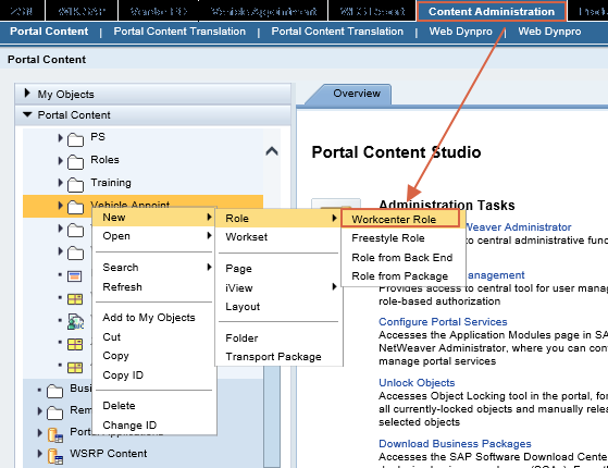 Web Dynpro Role