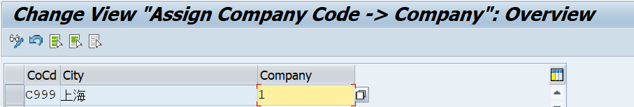 Assign Company Code to Company