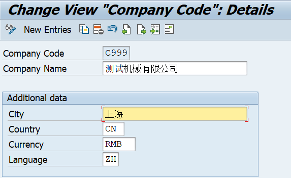 Company Code Details