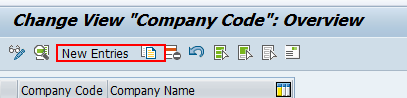 Company Code
